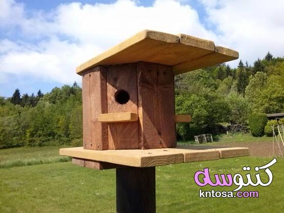 How to build a Birdhouse