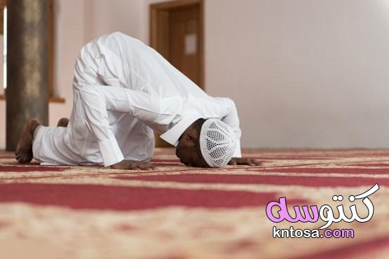حكم الصلاة وأهميتها في الإسلام