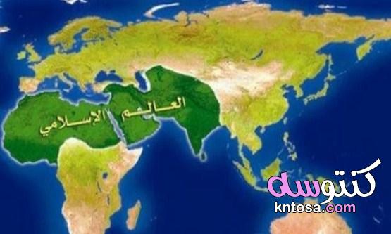 كم عدد الدول العربية الإسلامية