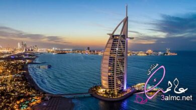 ما هي أفضل الأوقات لزيارة الإمارات العربية المتحدة؟