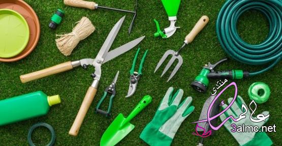 كيفية تنظيف وصيانة أدوات حديقتك بشكل صحيح