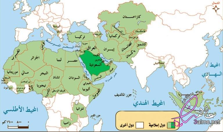 خريطة الوطن العربي والعالم